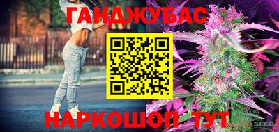 СК Пугачёв