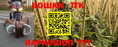 СК Пугачёв