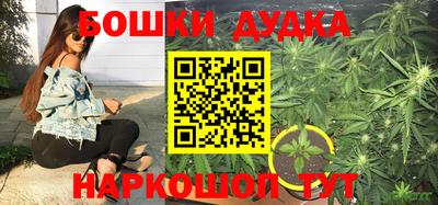 стафф Пушкино