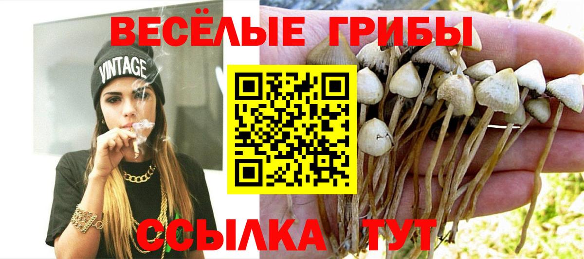 Галлюциногенные грибы ЛСД Прохладный
